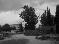Gregory Crewdson, aus "Sanctuary"