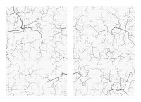 Andreas Gefeller: "Grape Plantation", 2010, Courtesy: Thomas Rehbein Galerie, Köln