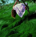 Just Loomis, aus "as we are", Cebe, Los Angeles, 2000