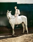 © Shaun Ross by Magda Wunsche & Samsel for Exklusiv Magda Wunsche