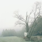 Jennifer Braun, aus der Serie "Mora"