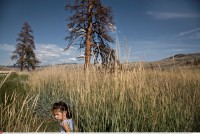 Nina Berman: aus der Serie "Path of Destruction: Pine Beetle in British Columbia, Canada"