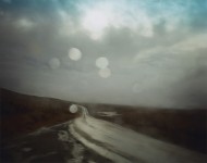 'Untitled 8422'
