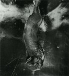 Shomei Tomatsu, Flaschen, geschmolzen und verformt durch die Hitze der Atombombe, Radioaktivität und Feuer, Nagasaki, 1961, printed 1974 © Shomei Tomatsu / Courtesy Galerie Priska Pasquer, Köln