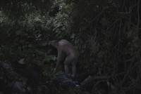 Alessandro Imbriaco, aus "Der Garten"
