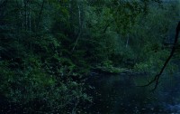 Michael Lange, aus dem Buch "Wald"
