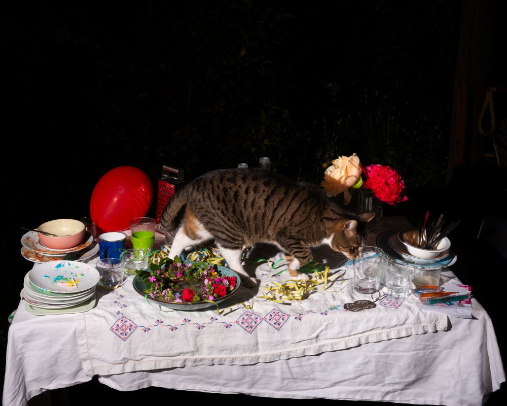 Lia Darjes: „Plate X“, am Stand der Galerie Robert Morat